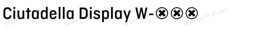 Ciutadella Display W字体转换